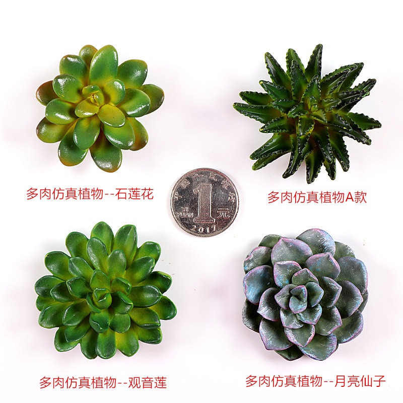 新款仿真多肉植物冰箱貼 磁鐵 立體造型留言條裝飾品-細節圖10