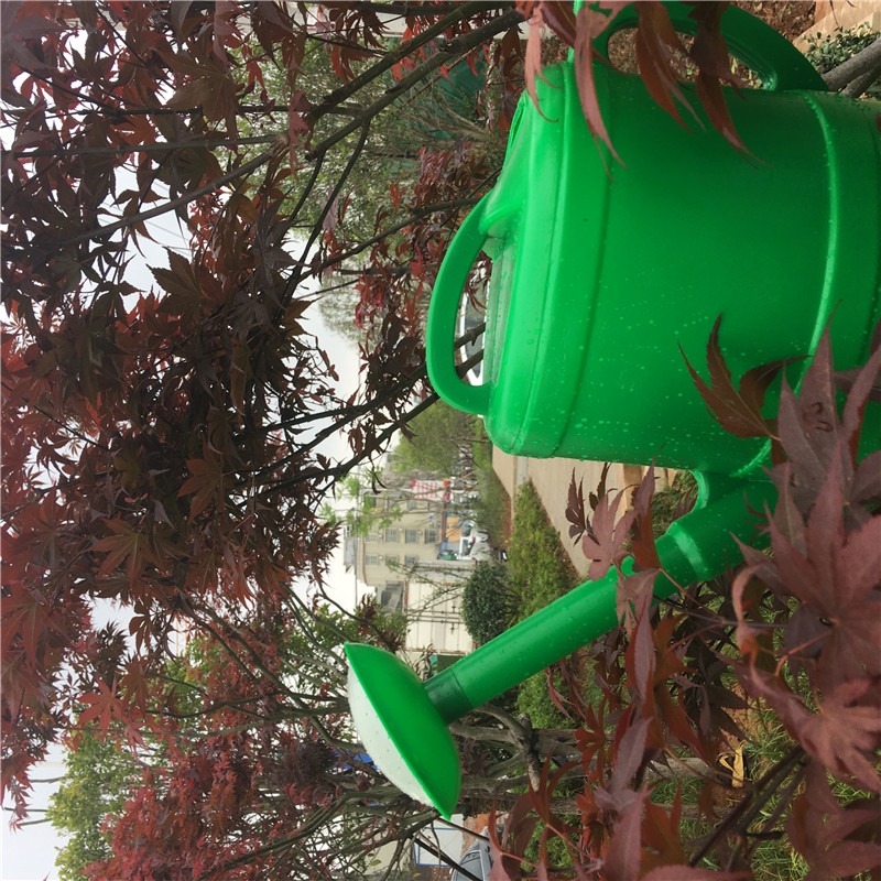 5-10L灑水壺澆花家用塑料加厚澆水壺園藝灑水桶經典家用菜園澆水-細節圖8