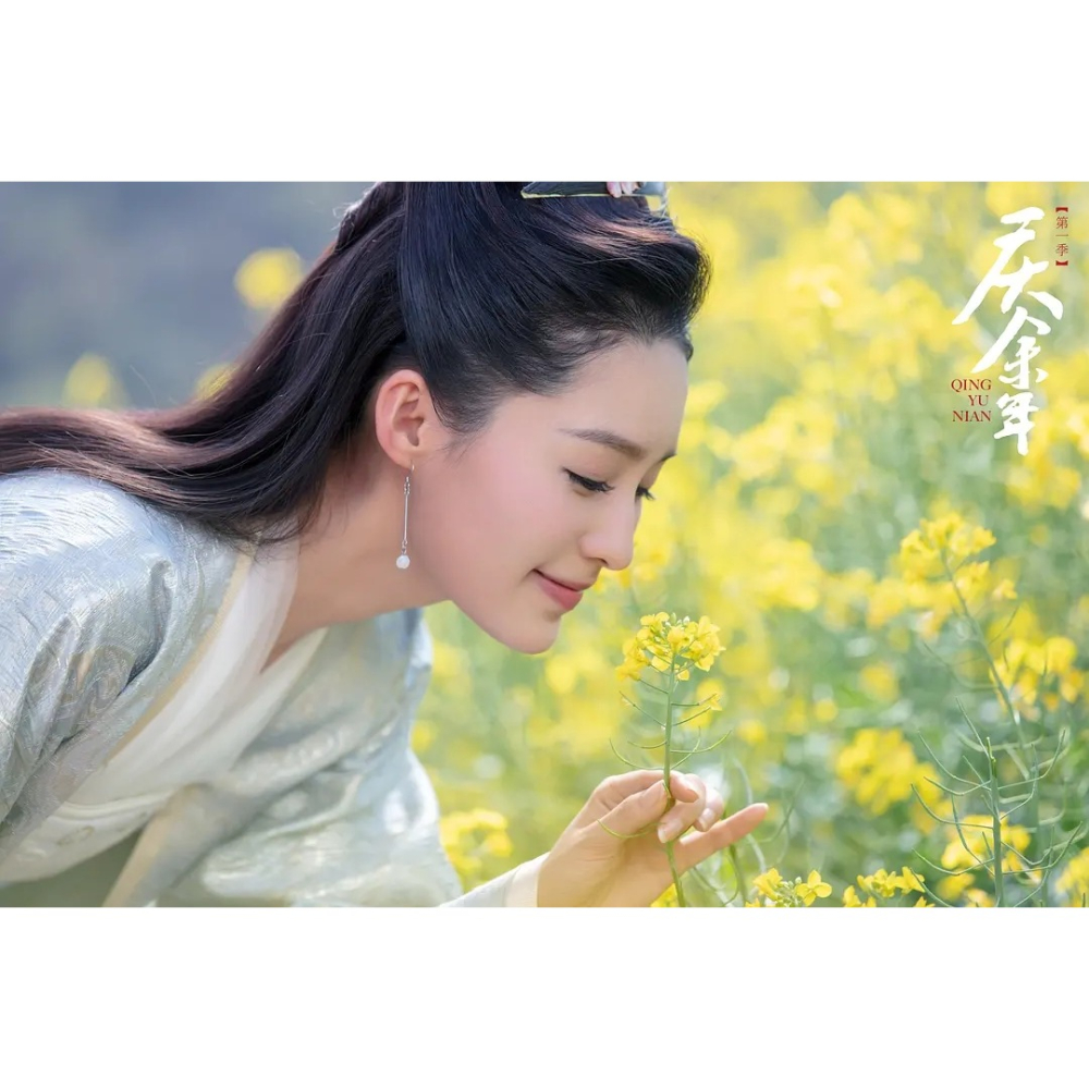 慶餘年周邊林婉兒李沁同款耳環925純銀古裝漢服女耳墜簡約耳飾品-細節圖5
