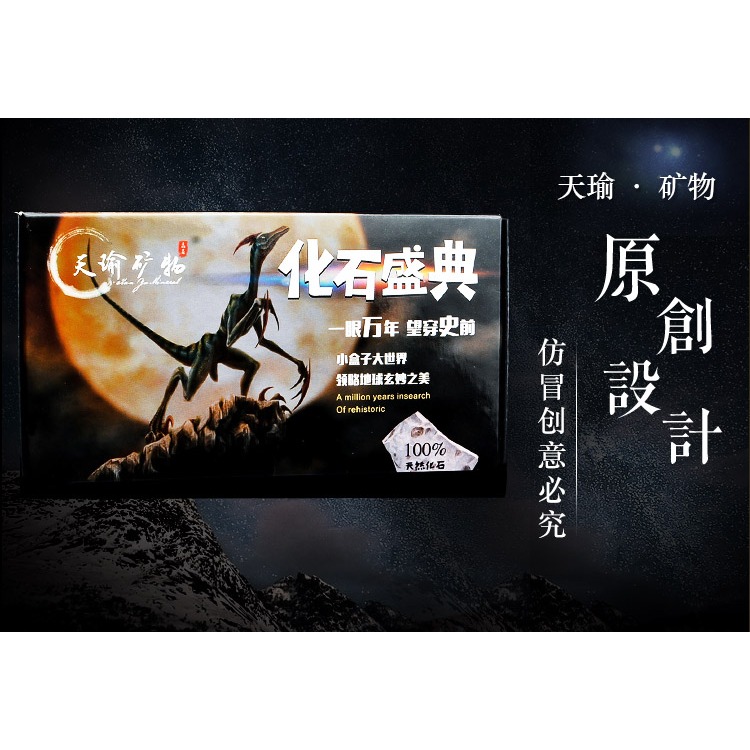 天然古生物化石標本盒昆蟲海螺三葉蟲海洋動植物菊石科普教學現貨-細節圖8