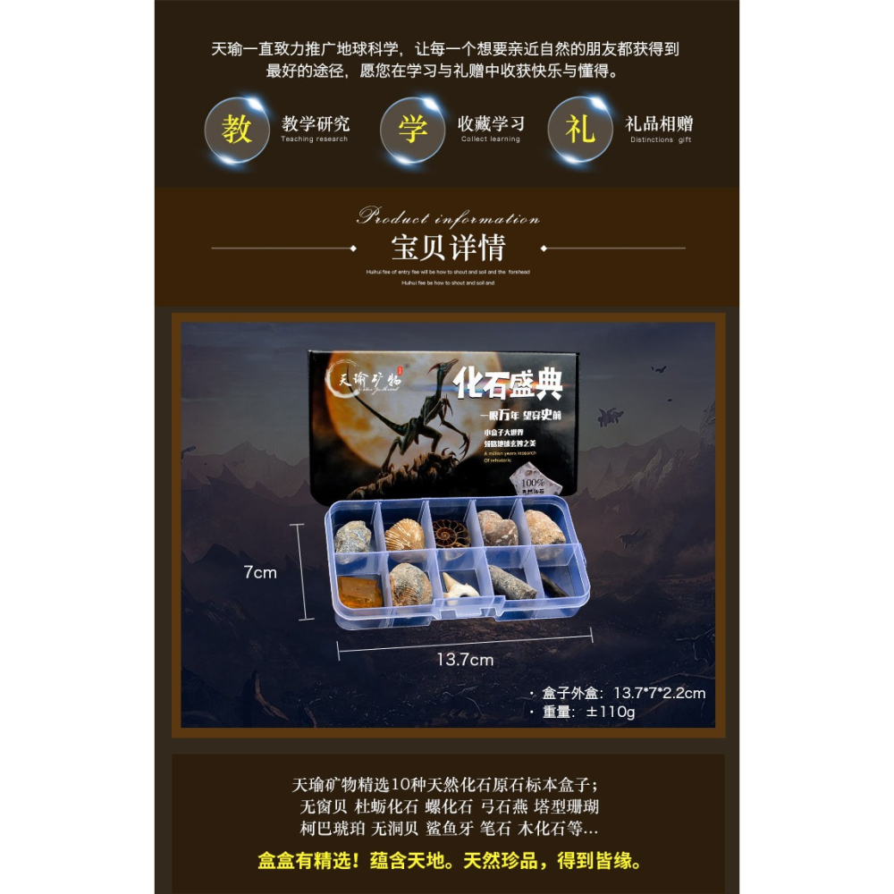 天然古生物化石標本盒昆蟲海螺三葉蟲海洋動植物菊石科普教學現貨-細節圖9