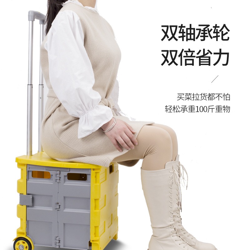 便攜折疊購物車小推車買菜車小拉車家用拉桿車超市手拉車拉貨代發-細節圖4