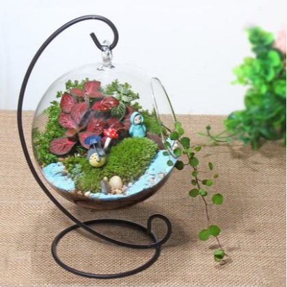 微景觀鐵架玻璃花瓶 透明懸掛圓瓶 苔蘚DIY花瓶 創意家居工藝品-細節圖2