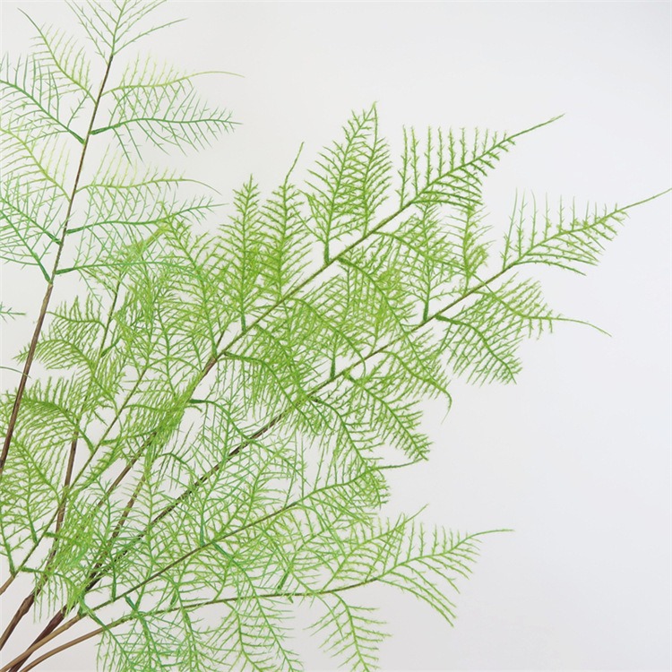 北歐仿真綠植文竹乾枝客廳室內裝飾花卉辦公室綠色四季常青假植物-細節圖4