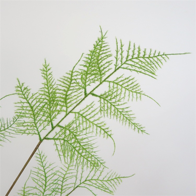 北歐仿真綠植文竹乾枝客廳室內裝飾花卉辦公室綠色四季常青假植物-細節圖5