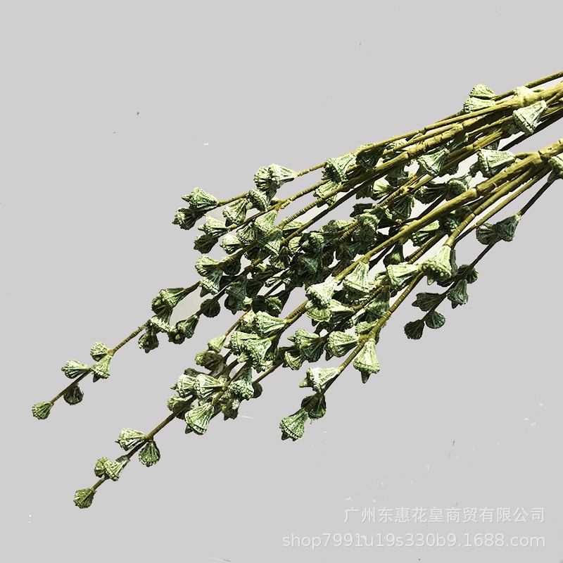 ins風餐桌客廳仿真乾花假花插花裝飾配材漿果子 桉樹果實乾枝-細節圖2