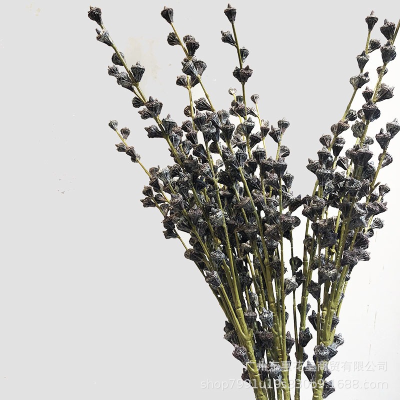 ins風餐桌客廳仿真乾花假花插花裝飾配材漿果子 桉樹果實乾枝-細節圖4