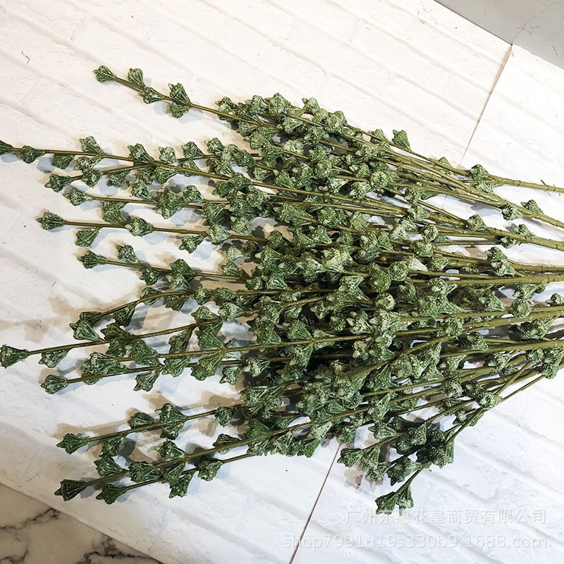 ins風餐桌客廳仿真乾花假花插花裝飾配材漿果子 桉樹果實乾枝-細節圖5
