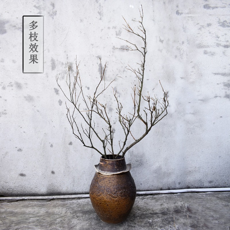 自然樹枝幹花中式臺面文藝插花禪意擺件創意裝飾乾枝飾品天然枯枝-細節圖3