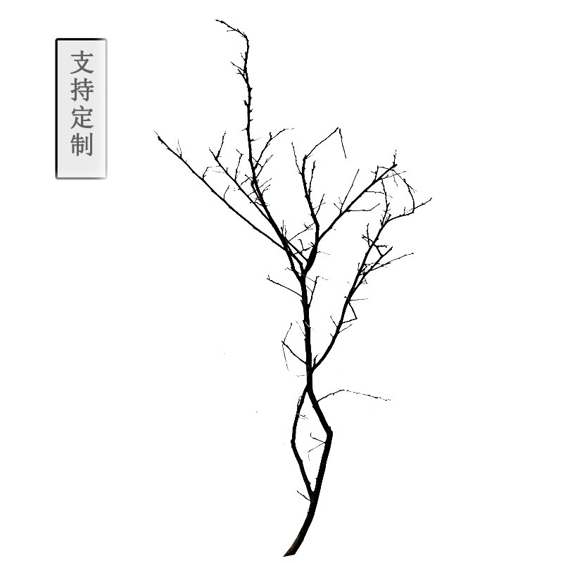 自然樹枝幹花中式臺面文藝插花禪意擺件創意裝飾乾枝飾品天然枯枝-細節圖4