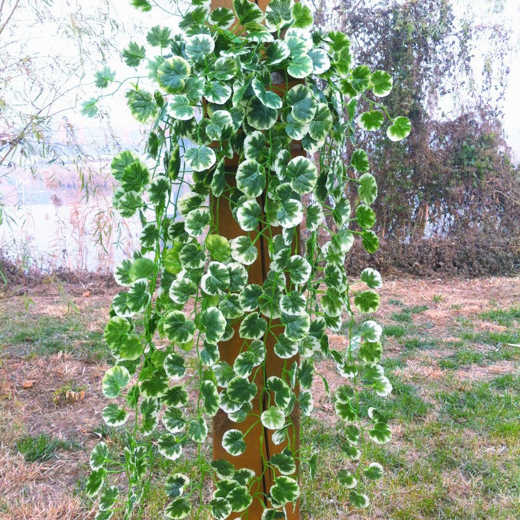 仿真爬山虎綠蘿綠葉壁掛 假藤條藤蔓植物-細節圖2