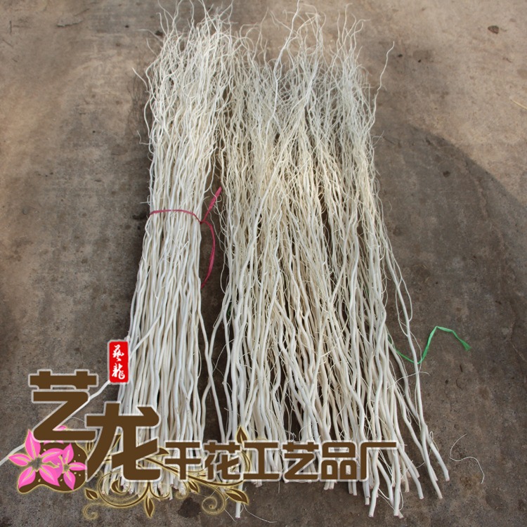 龍柳幹樹枝裝飾客廳落地玄關隔斷櫥窗乾枝裝飾花龍柳乾花-細節圖2