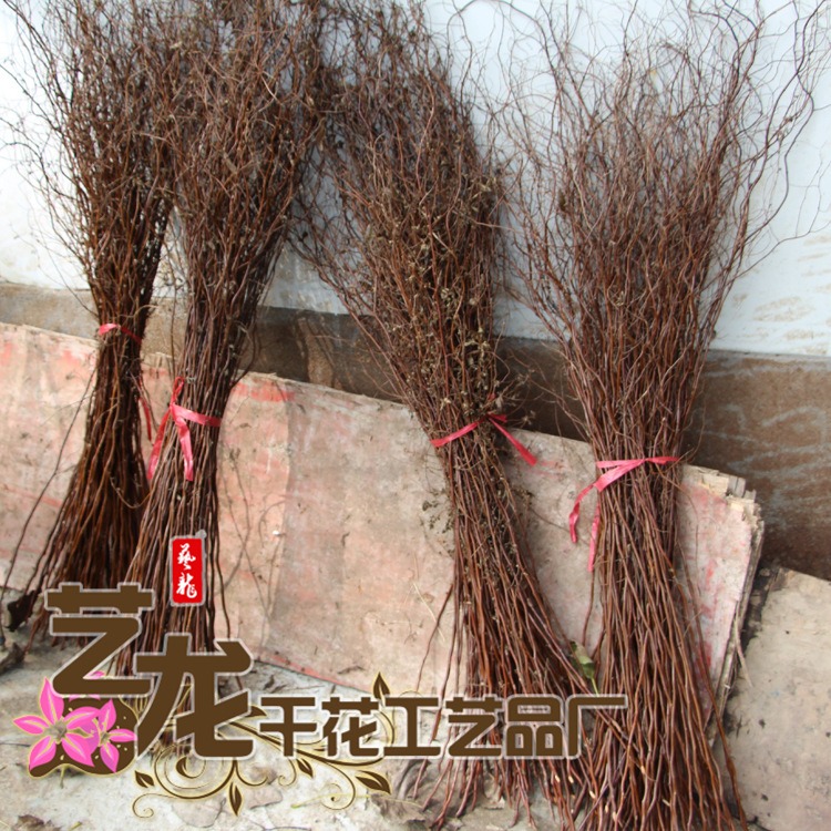 龍柳幹樹枝裝飾客廳落地玄關隔斷櫥窗乾枝裝飾花龍柳乾花-細節圖3