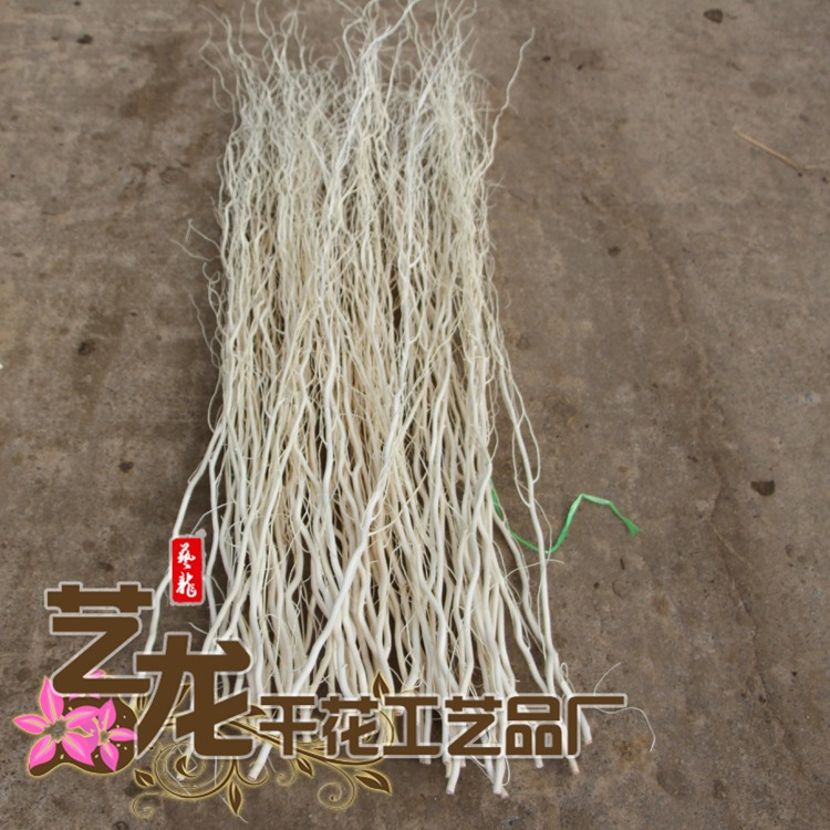 龍柳幹樹枝裝飾客廳落地玄關隔斷櫥窗乾枝裝飾花龍柳乾花-細節圖4