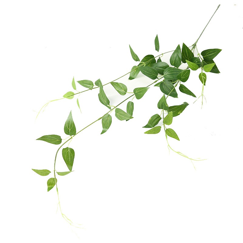 鐵線蓮葉假花仿真花壁掛藤條仿真金銀花葉婚慶裝飾仿真植物-細節圖5