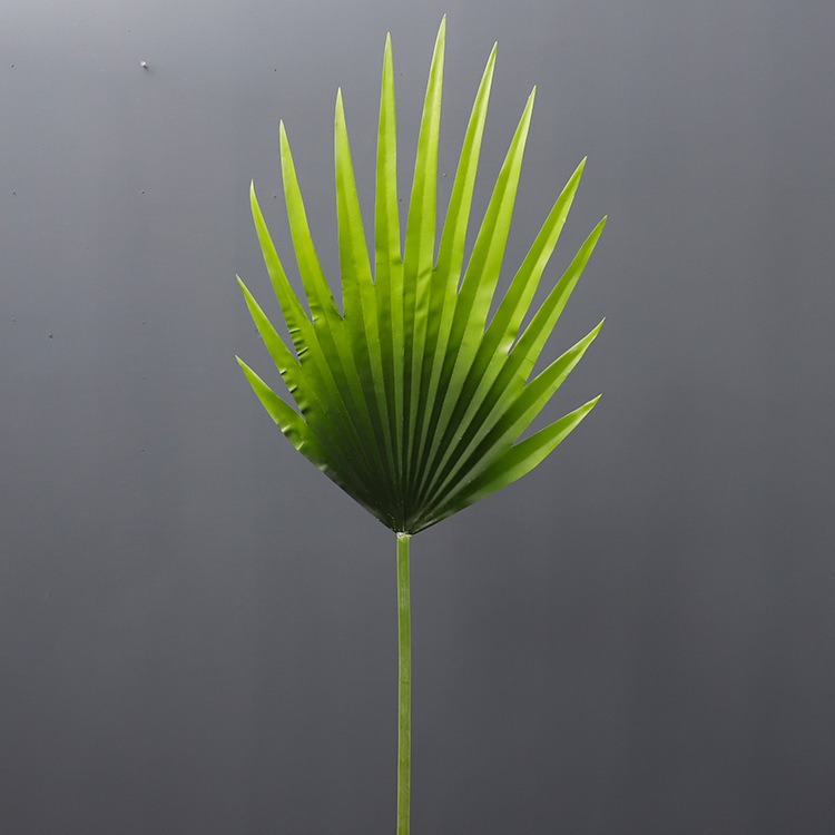 仿真扇葵葉手感蒲扇葉 大葉子蓮花扇葉插花壁掛擺件仿真植物-細節圖2