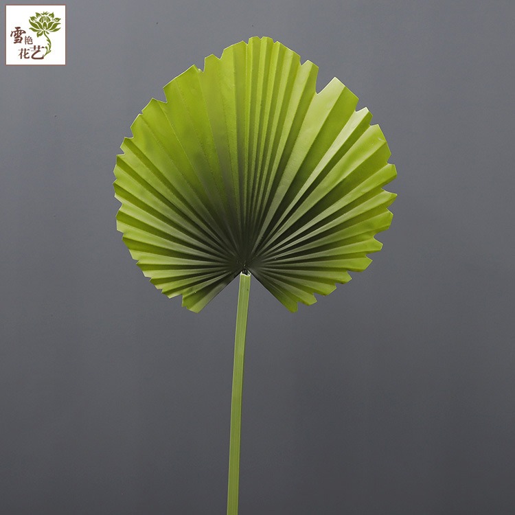 仿真扇葵葉手感蒲扇葉 大葉子蓮花扇葉插花壁掛擺件仿真植物-細節圖4
