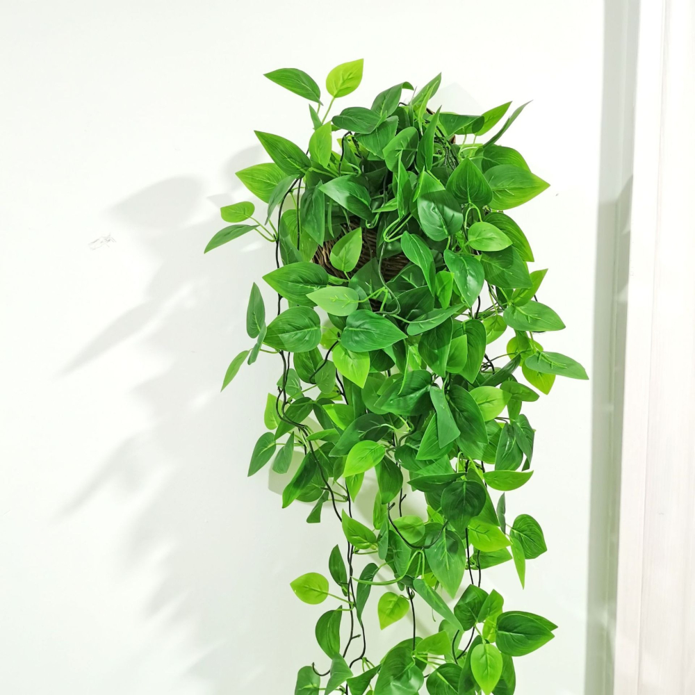 仿真葉壁掛花小綠蘿仿真綠葉植物壁掛藤條壁掛花綠蘿吊蘭仿真-細節圖3