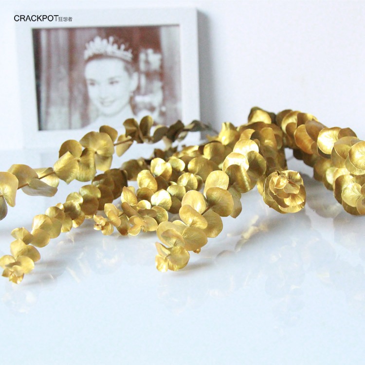 土豪金色系乾花材ins北歐式輕奢系金銀色乾花乾枝飾品-細節圖2
