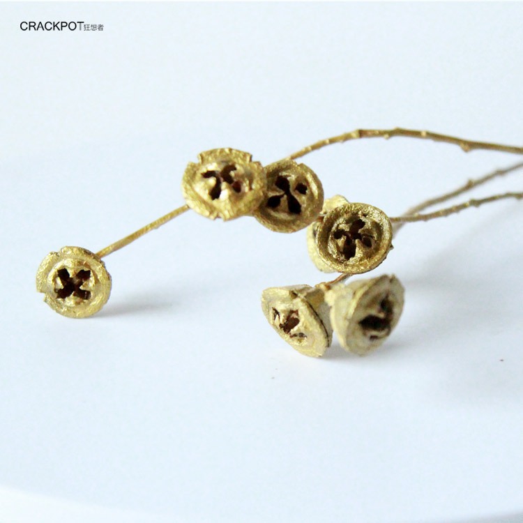 土豪金色系乾花材ins北歐式輕奢系金銀色乾花乾枝飾品-細節圖3