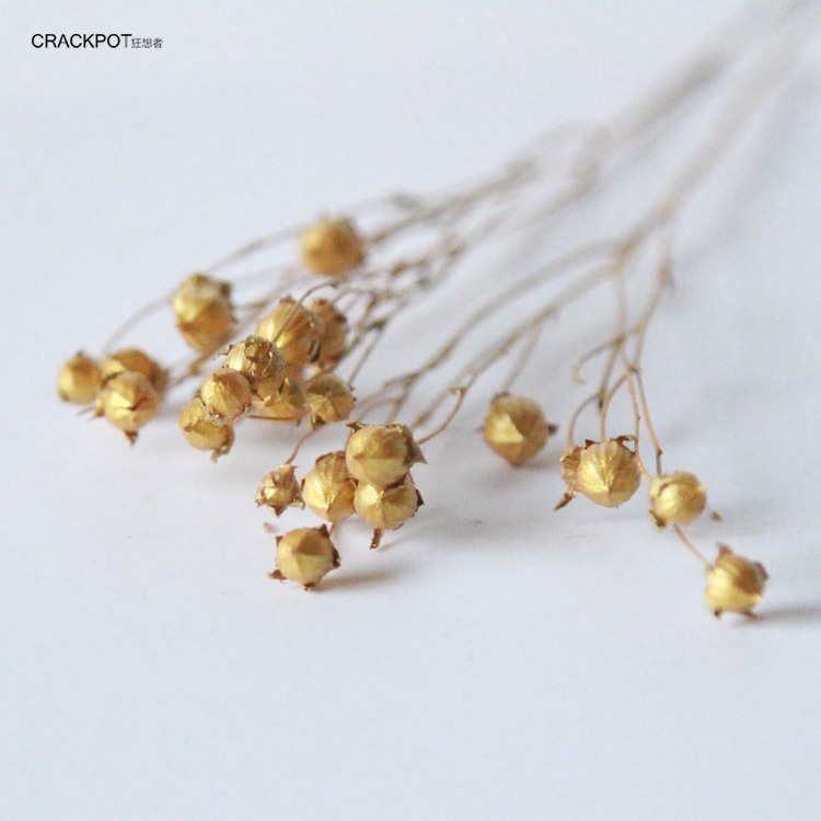 土豪金色系乾花材ins北歐式輕奢系金銀色乾花乾枝飾品-細節圖4