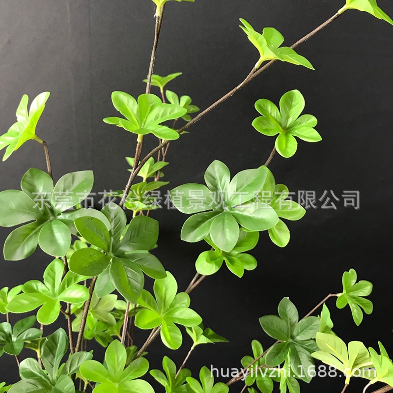 仿真吊鐘綠色植物樹枝插花乾枝 綠植葉子室內馬醉木假花樹葉-細節圖2
