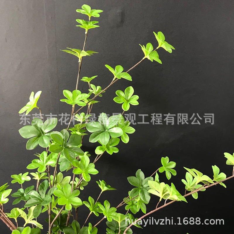仿真吊鐘綠色植物樹枝插花乾枝 綠植葉子室內馬醉木假花樹葉-細節圖3