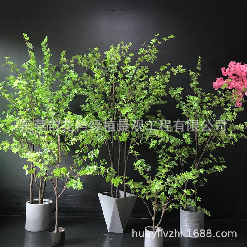 仿真吊鐘綠色植物樹枝插花乾枝 綠植葉子室內馬醉木假花樹葉-細節圖4