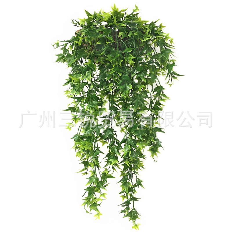 仿真藤條5叉地瓜藤 地瓜葉楓葉綠植墻 植物墻裝飾配材 藤垂吊壁掛-細節圖4