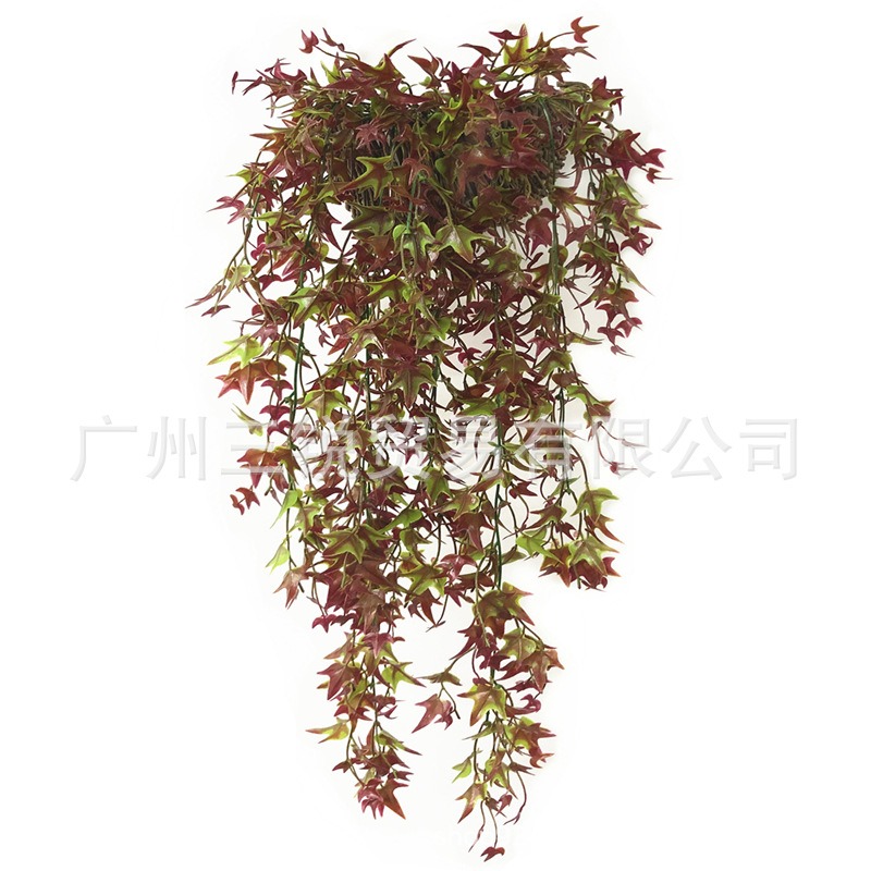 仿真藤條5叉地瓜藤 地瓜葉楓葉綠植墻 植物墻裝飾配材 藤垂吊壁掛-細節圖5