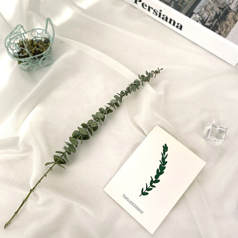 乾花花束天然風幹樹枝輕奢創意裝飾擺件ins拍照道具-細節圖3