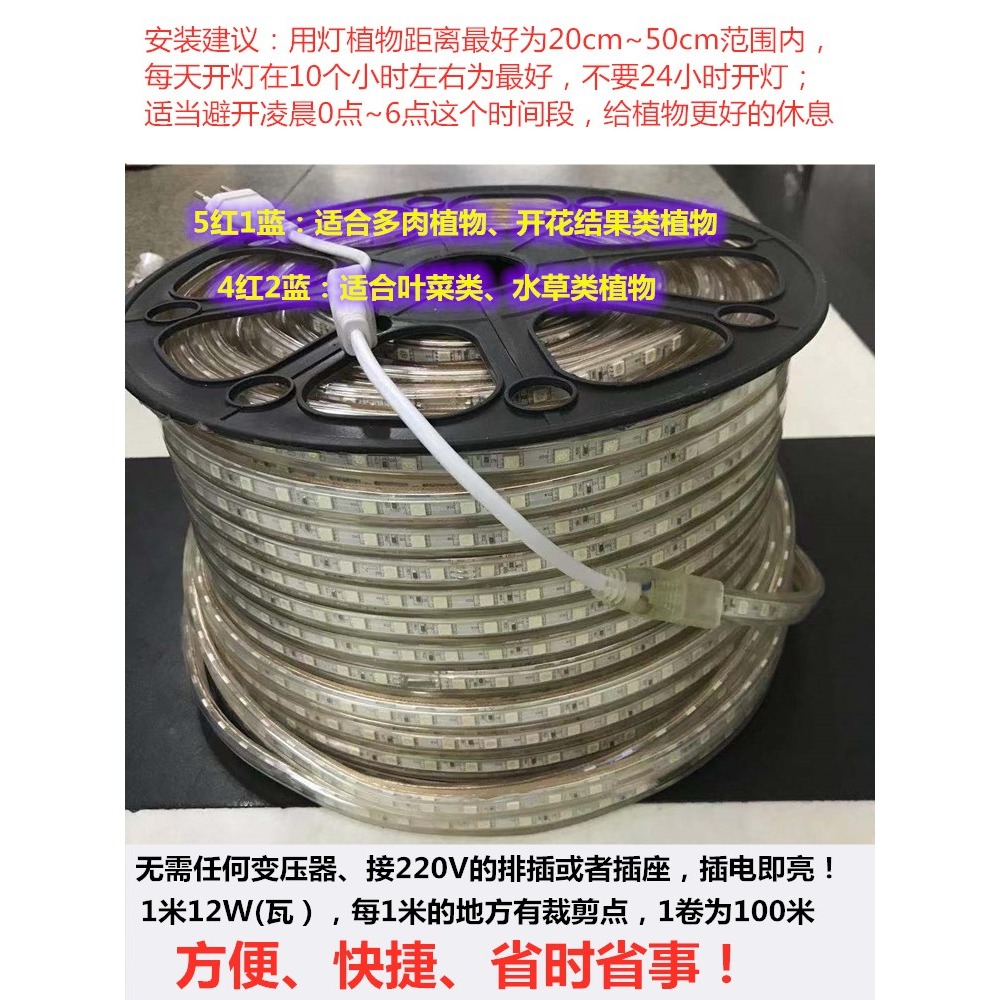 220V植物LED220V植物補光光譜花卉育苗多肉水草全燈帶燈條生長LED-細節圖2