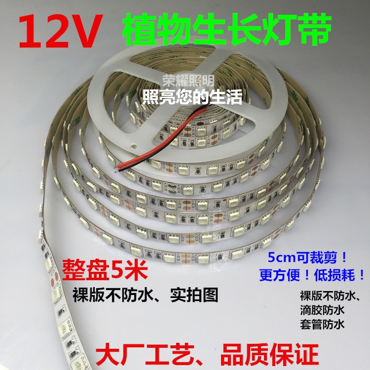 燈帶植物多肉led植物生長補光防水led12V水草育苗大棚12V燈條低壓-細節圖2