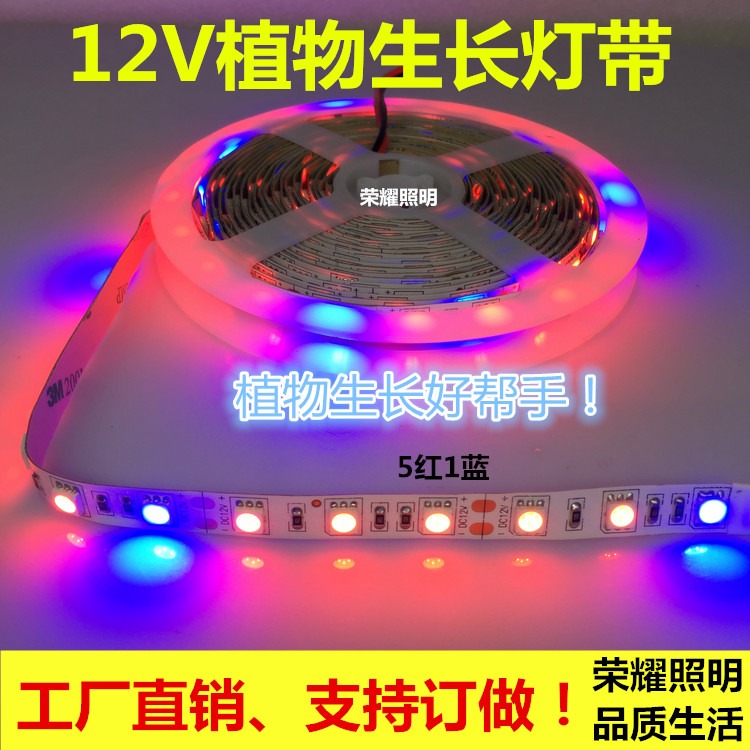 燈帶植物多肉led植物生長補光防水led12V水草育苗大棚12V燈條低壓-細節圖3