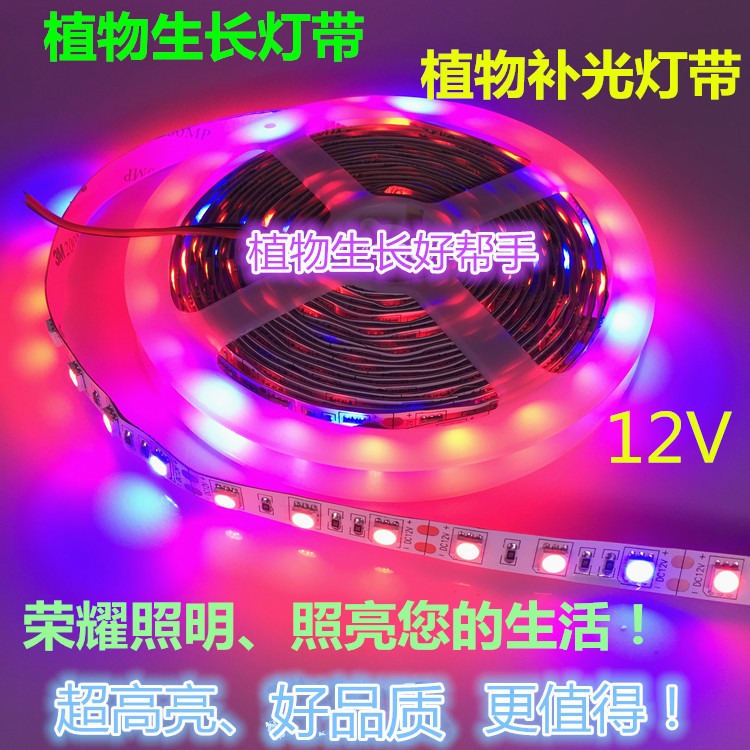 燈帶植物多肉led植物生長補光防水led12V水草育苗大棚12V燈條低壓-細節圖4