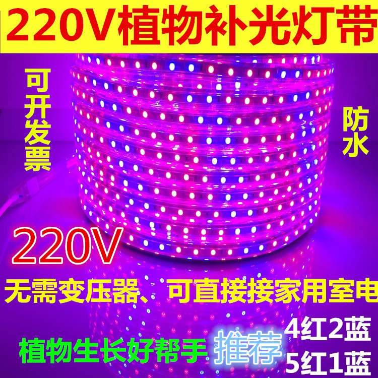 燈帶植物多肉led植物生長補光防水led12V水草育苗大棚12V燈條低壓-細節圖5