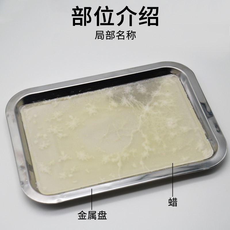 解剖盤蠟盤18*25cm初中高中生物實驗器材J27003中小學教學教具儀器學生用-細節圖3