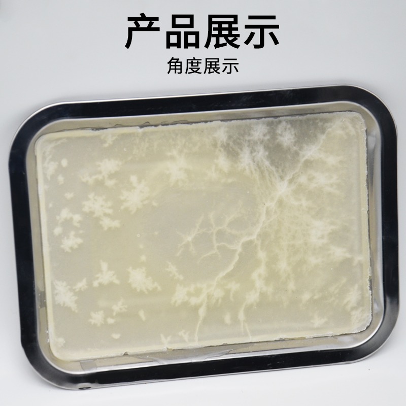 解剖盤蠟盤18*25cm初中高中生物實驗器材J27003中小學教學教具儀器學生用-細節圖4
