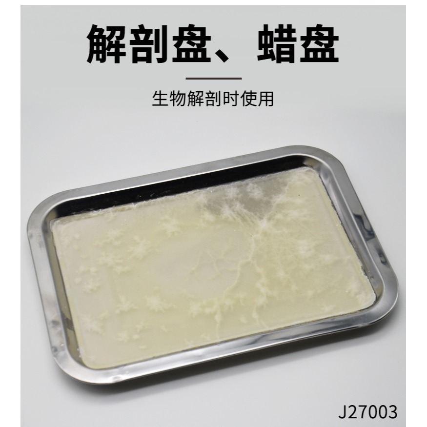 解剖盤蠟盤18*25cm初中高中生物實驗器材J27003中小學教學教具儀器學生用-細節圖8