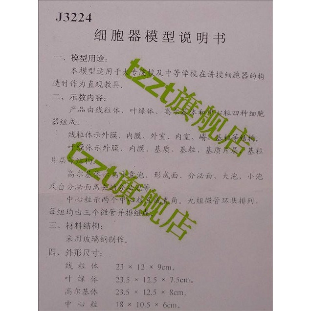 細胞器結構模型 J3224 高中生物儀器 教學儀器 器材-細節圖3