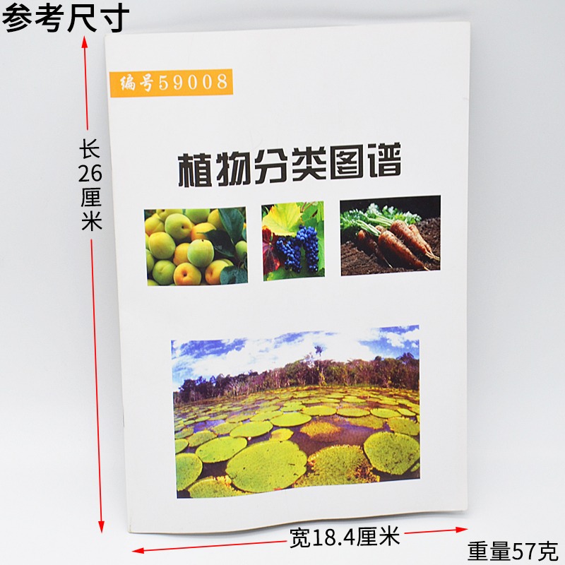 植物分類圖譜 J59008小學科學實驗器材科學生物教學儀器-細節圖2