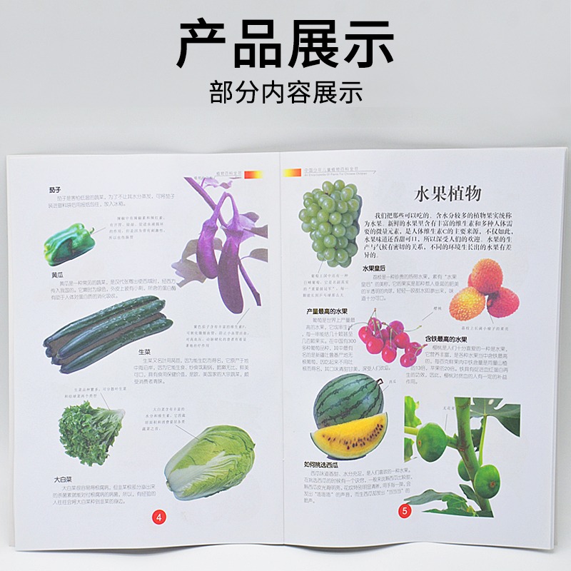 植物分類圖譜 J59008小學科學實驗器材科學生物教學儀器-細節圖3