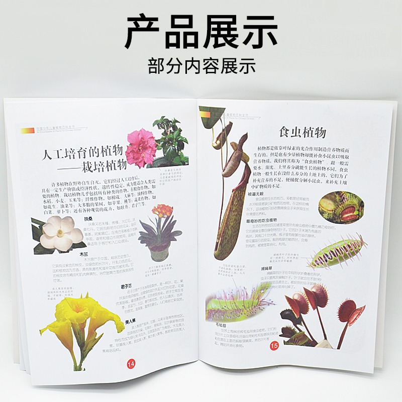 植物分類圖譜 J59008小學科學實驗器材科學生物教學儀器-細節圖4