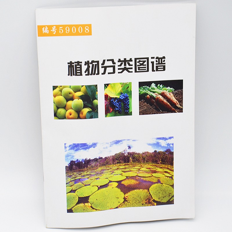 植物分類圖譜 J59008小學科學實驗器材科學生物教學儀器-細節圖5