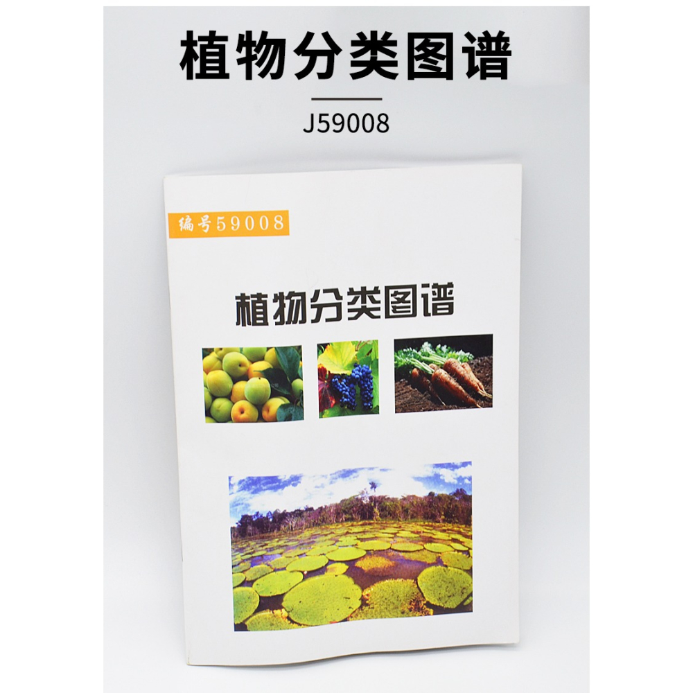 植物分類圖譜 J59008小學科學實驗器材科學生物教學儀器-細節圖7