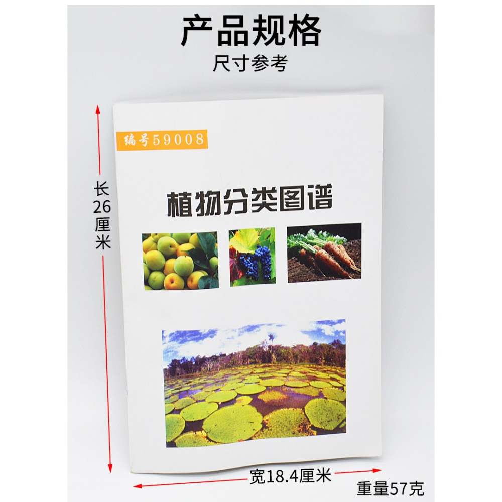 植物分類圖譜 J59008小學科學實驗器材科學生物教學儀器-細節圖8