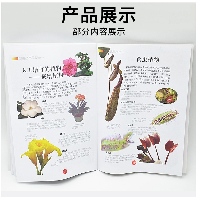 植物分類圖譜 J59008小學科學實驗器材科學生物教學儀器-細節圖10