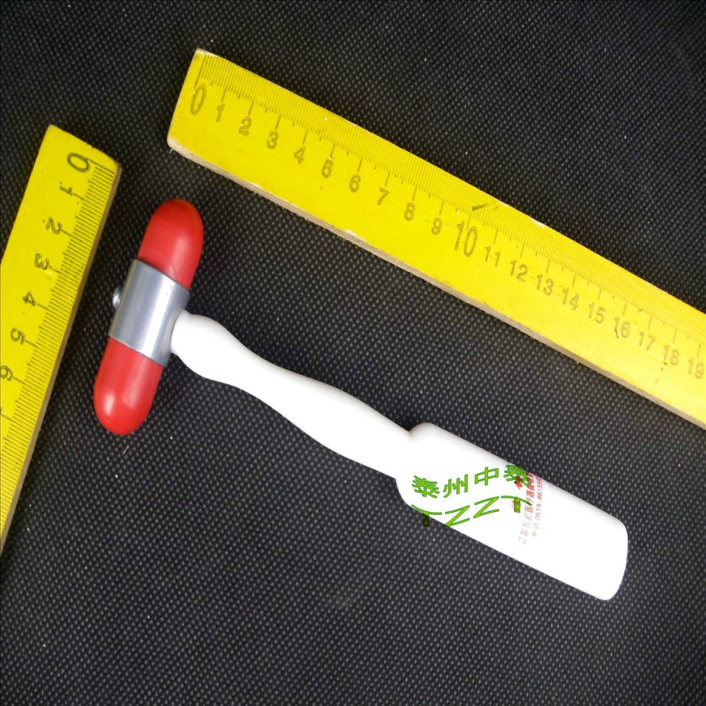 聽診錘 膝跳反射用 J81117 橡皮錘 橡膠錘 小學科學實驗器材 教學-細節圖4