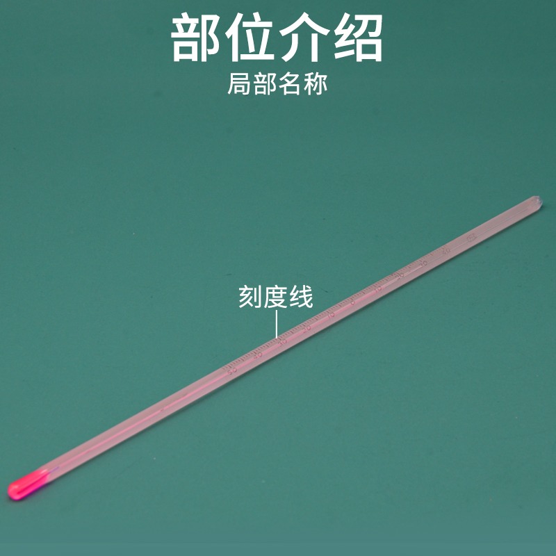 最低溫度計 (-52～+41)℃ J13022 小學科學 教學儀器 氣象觀測-細節圖3