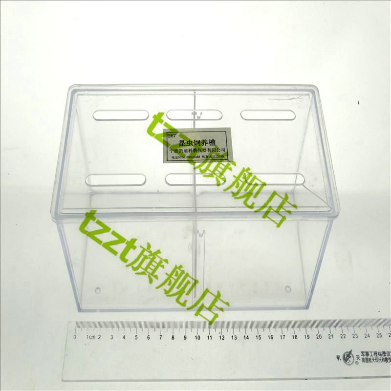 昆蟲飼養槽 J267 昆蟲觀察培養盒 小學科學 實驗器材 教學儀器-細節圖3